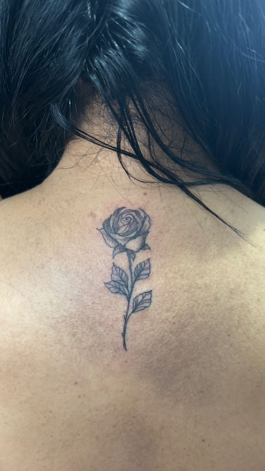 Tattoo botânico delicada 1 Tattoo botânico delicada 1